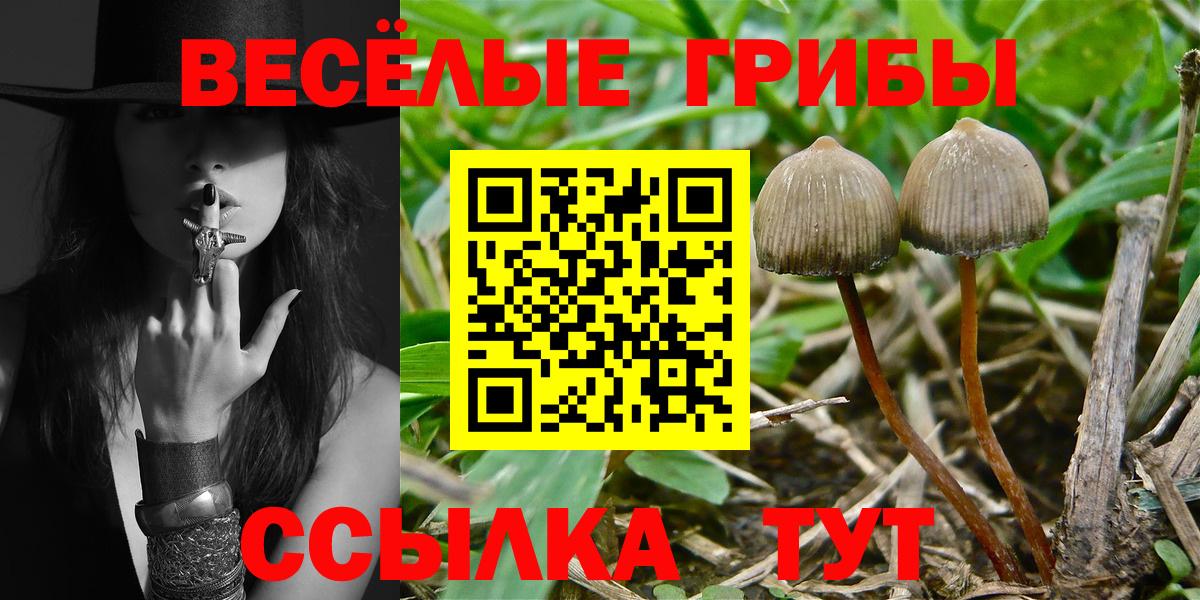 Красноармейск  Галлюциногенные грибы Psilocybine cubensis  где можно купить наркотик  Вход с VPN 