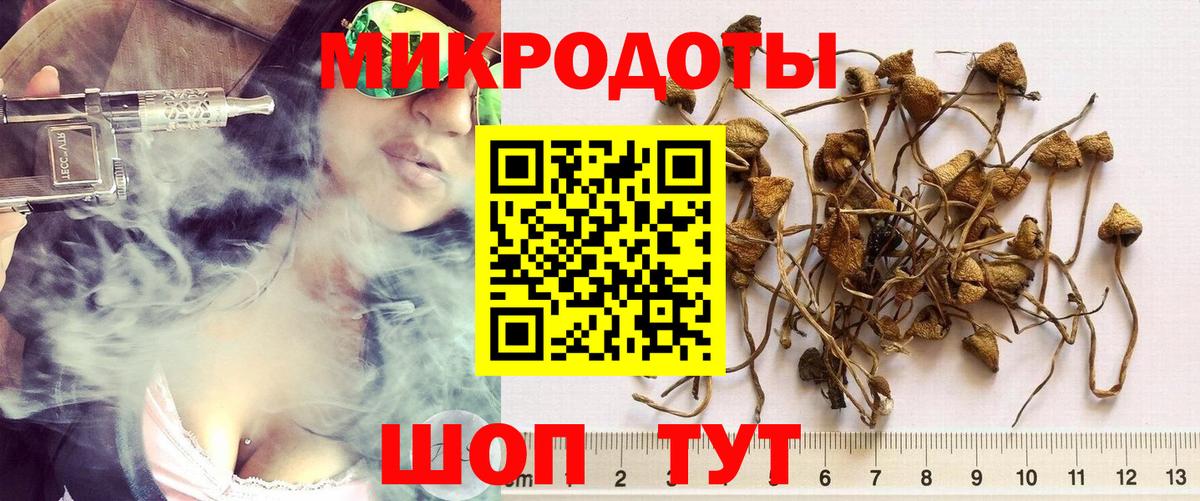 Псилоцибиновые грибы мицелий Красноармейск